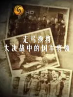走马换将：大决战中的国军将领[10集][凤凰大视野][国语中字][720P]