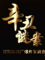 辛丑谜案-汉阳钢药厂爆炸案调查[2集][央视纪录片][国语中字][1080P]