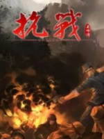 抗战[全30集][央视战争纪录片][720P]