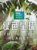绿色星球[第一季共5集][BBC纪录片][英语中字][1080P高清]