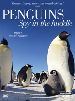 企鹅群里有特务 Penguins: Spy in the Huddle (2013)