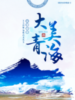 大美青海 (2011)