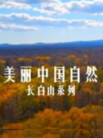 美丽中国自然 长白山系列[14集][英语双语字幕][1080P]