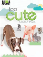 萌宠成长记[第三季共13集][纪录片][英语中字][1080P]