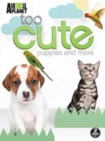 萌宠成长记[第二季共16集][纪录片][英语中字][1080P]