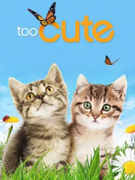 萌宠成长记[第一季全6集][央视译制纪录片][双语中字][1080P]