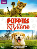 小狗与小猫的奇妙世界 The Wonderful World of Puppies and Kittens (2016)