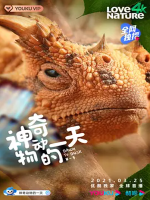 神奇动物的一天 第一季 Dawn to dusk Season 1 (2021)