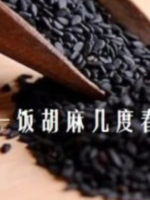 一饭胡麻度几春[2集][央视纪录片][国语配音中文字幕][720P]