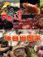 味道·味自田园来 2017[12集][央视美食纪录片][国语配音中文字幕][1080P]