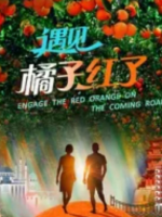 遇见橘子红了[4集][央视纪录片][国语中字][1080P]