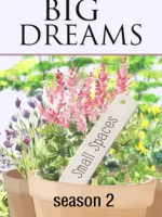 小花园大梦想 Big Dreams Small Spaces 2016[第二季 全5集][BBC纪录片][英语配音中文字幕][720P]