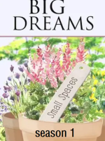 小花园大梦想 Big Dreams Small Spaces 2014[第一季 全5集][BBC纪录片][英语配音中文字幕][720P]