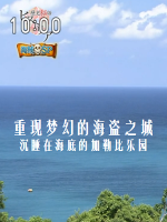 历史秘话(189) 重现梦幻的海盗之城 沉睡在海底的加勒比乐园 [日语中日双字]