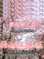 历史秘话 樱花树之恋 日本人和樱花的故事 [日语中日双字]