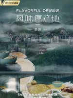 风味原产地·贵阳 2021 [10集][美食纪录片][国语中字][1080P]