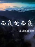 西藏的西藏[5集][国产纪录片][国语配音中文字幕][1080P]