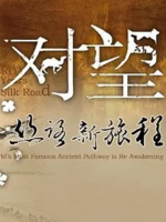 对望·丝路新旅程 2015 [5集][央视纪录片][国语中字][1080P]