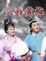 大戏黄梅 Huangmei Opera 2012 [10集][国语配音中文字幕][720P]