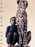 尘与雪  Ashes and Snow 2005 [6集][豆瓣8.7][720P]