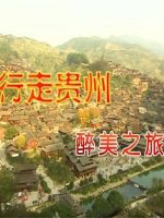 行走贵州 醉美之旅[央视纪录片][4集][国语配音中文字幕][1080P]
