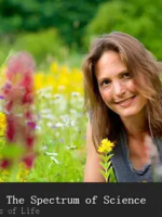 色彩的奥秘 Colour: The Spectrum of Science 2015 [3集][BBC][原声配音中英双字][720P]