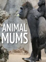 动物妈妈 Animal Mums (2015)