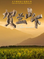天下黄河富宁夏·贺兰山下[第二季共20集][央视纪录片][国语中字][4K]