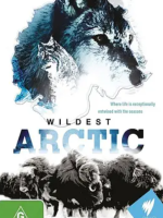 北极野生大地/野性北极 Wildest Arctic 2013 [全4集][探索频道纪录片][国语配音中文字幕][720P]