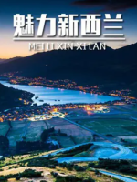 魅力新西兰 Charm of New Zealand 2016 [3集][国语中英双字][720P]