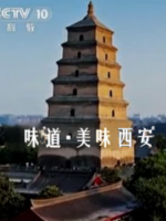 味道·美味西安 2019年 [2集][国语中字][1080P]