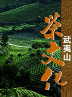 武夷山茶文化 2014 [全5集][国语中字][1080P高清]