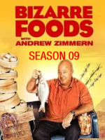 古怪食物/奇妙美食之旅/饮食奇趣录[第9季共8集][英语中字][1080P]