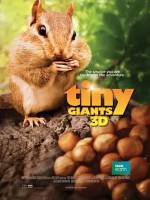小巨人 3D Tiny Giants 3D 2014 [全1集][普通话][1080P]