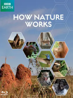 探秘自然界How Nature Works 2013 [全4集][BBC][英语中字][1080P]