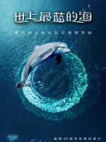 世上最蓝的海 Great Barrier Reef: A Living Treasure 2019 [全8集][英语双字][1080P]