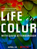 生命之色 Life In Colour 2021年 [全4集][英语双语字幕][1080P]