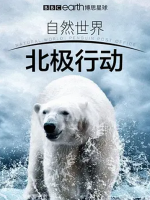 北极行动 Operation Arctic 2016 [BBC][全4集][1080P][英语中字]