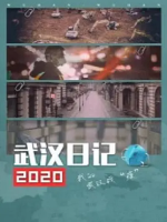 武汉日记 2020 [1集][央视新闻纪录片][国语中字][1080P]