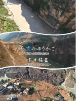 空中摇篮 云南鹦哥村的四个月 2019 [1集][NHK纪录片][日语配音中文字幕][720P]