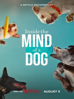 汪星人的奇思妙想 Inside the Mind of a Dog 2024年 [全1集][1080P]