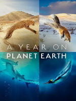 地球上的一年 A Year on Planet Earth 2022 [S01全6集][4K杜比视界][英语 内嵌中英字幕]