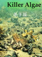 杀手藻 Killer Algae 2009年 [全1集][BBC纪录片]