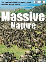 群体大自然 Massive Nature 2004年[BBC纪录片][全6集]
