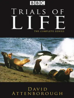 生命之源 The Trials of Life 1990年[全12集][BBC纪录片]