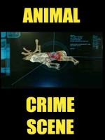 动物犯罪现场 Animal Crime Scene 2005年[全5集][BBC纪录片]