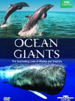 海洋巨兽 Ocean Giants 2011年 [全3集][BBC纪录片]