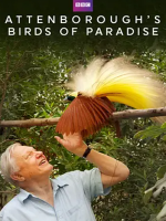 自然世界 天堂之鸟 Natural World: Birds of Paradise 2010年 [全1集][BBC纪录片]