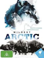 野性北极 Wildest Arctic 2012年 [全4集][BBC纪录片]