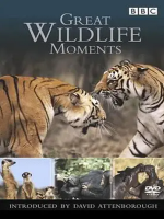 野生动物奇观 Great Wildlife Moments 2003年 [全2集][BBC纪录片]